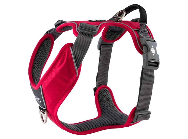 cwp-harness-classicred-v1.jpg