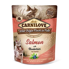 carnilove-salmon-wet-food-pouch-puppies.jpg