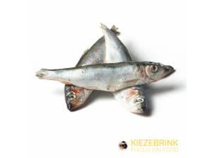 Kiezebrink Haring 15-18 cm - 1kg.jpg
