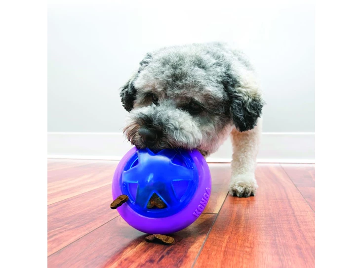 PLB1 (2)-20180905204312-20180905204736-1000x1000.jpg