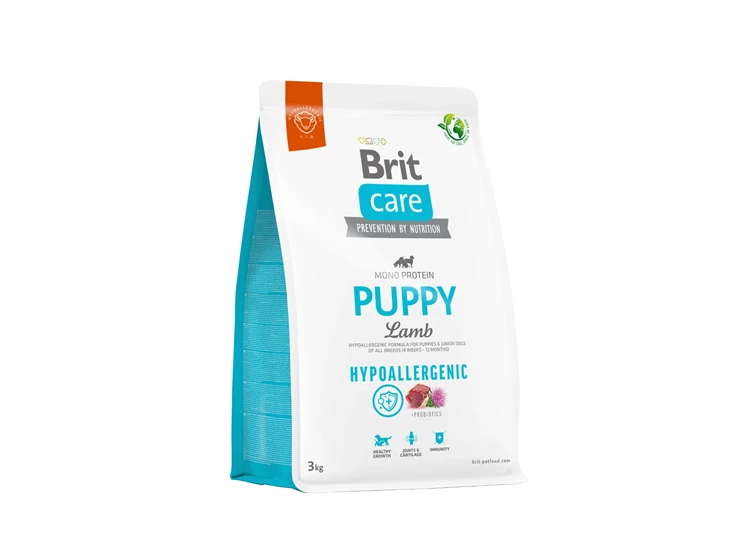 puppy3.jpg