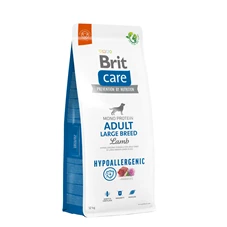 adult12.jpg