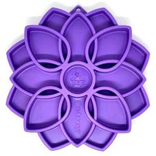 ezgif.com-gif-maker.jpg