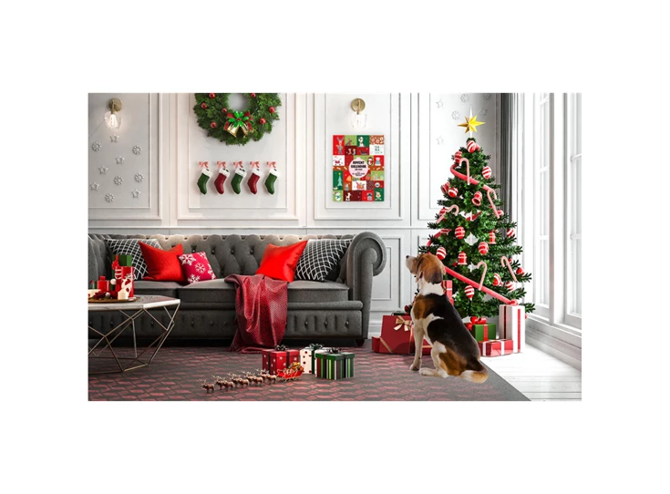 sana-dog-adventskalender-voor-honden2-900x900.png