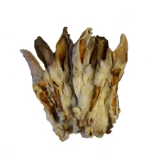 Carnilicious Hazenoren met haar 500 gram.jpg