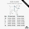 NEW-3.0_EN-AIR-SizeGuide-2000x2000.jpg