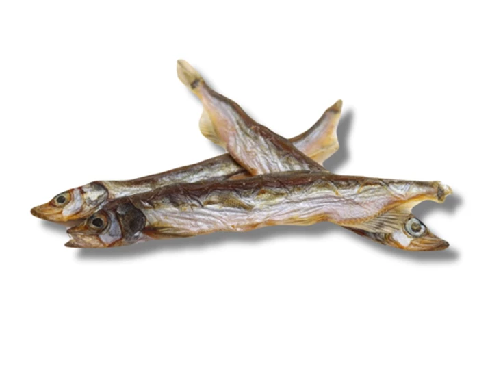 Schermafbeelding 2024-02-23 om 14.38.03.png