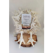 Carnilicious Kippenpoten gepoft 750 gram.jpg