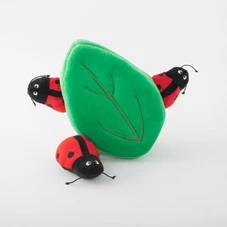Zippyladybugsinleaf.jpg