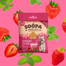 BitesStrawberryDog-QuiriImagery_1.jpg