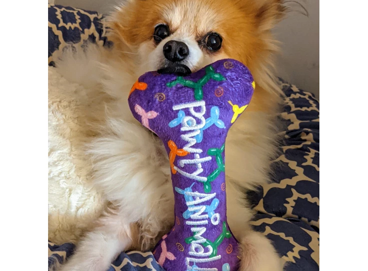 Pawty-Animal-Bone-3-scaled.jpg