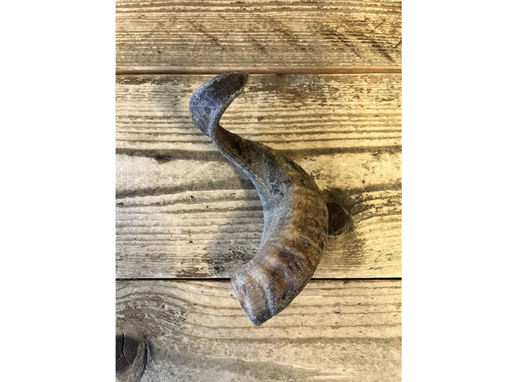 Carnilicious Lamshoorn M.jpg