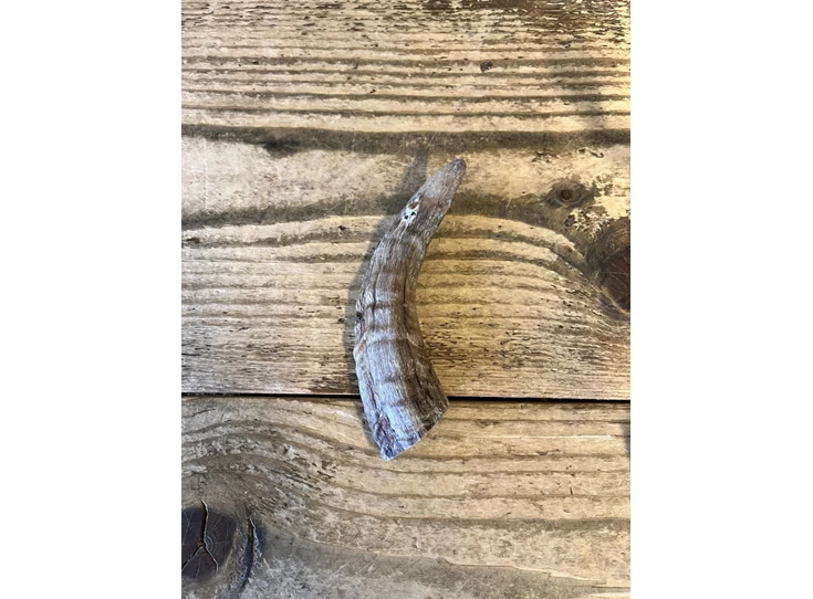 Carnilicious Lamshoorn S.jpg