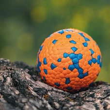 638315371308626304-M-PETS_10650899_BLOOM-Ball-IV-lifestyle normaal.jpg