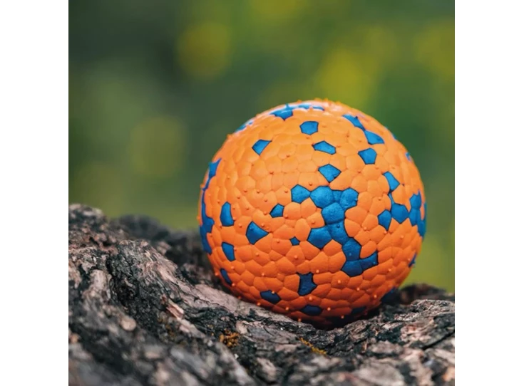 638315371308626304-M-PETS_10650899_BLOOM-Ball-IV-lifestyle normaal.jpg
