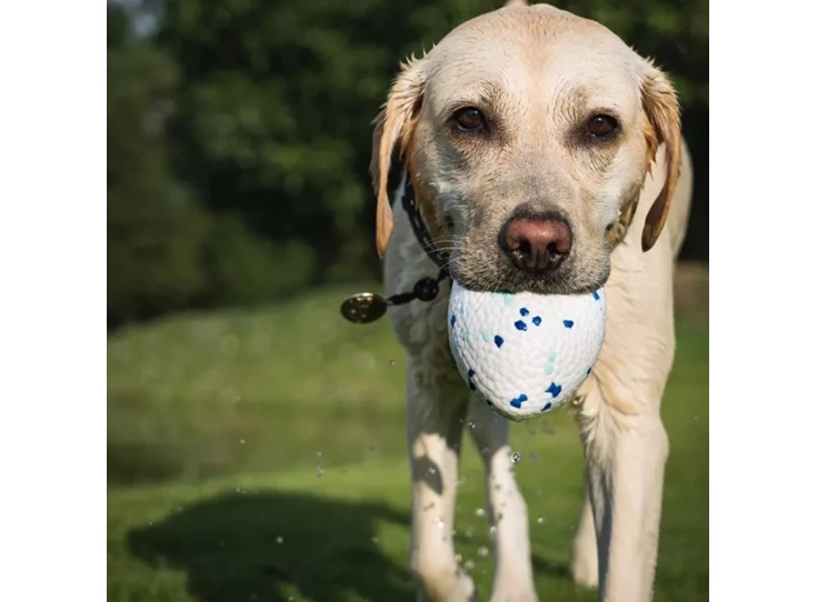 KWqWvYK5V2tBuXY9Cq9Q normaal.jpeg