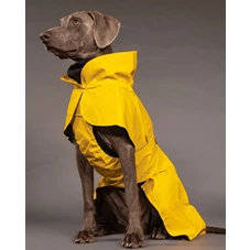 PAIKKA_Visibility_Raincoat_light_yellow_1_3.jpeg