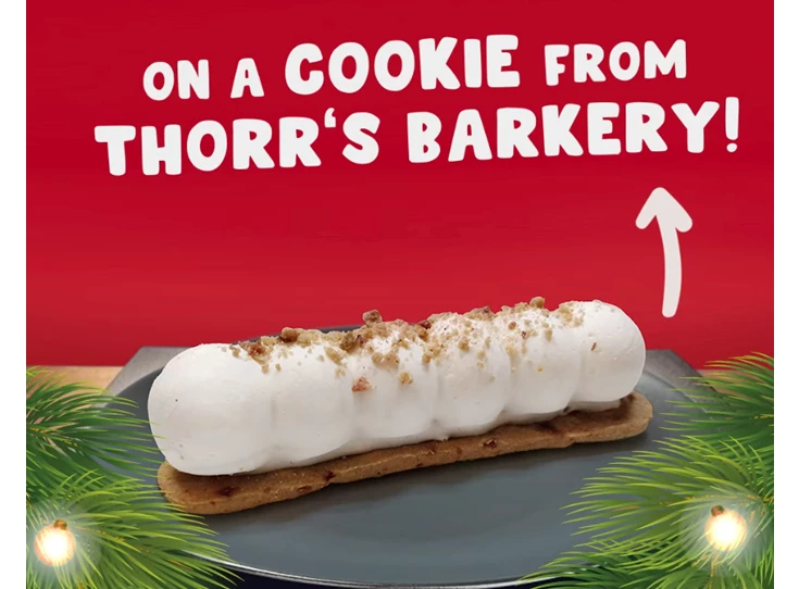 Schermafbeelding 2024-12-05 om 22.31.52.png