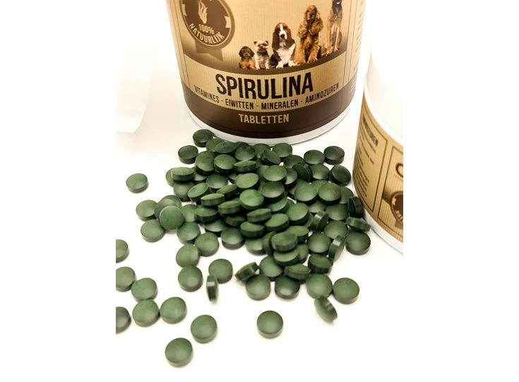 Spirulina_003.jpeg