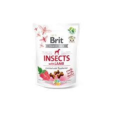 insects-with-lamb.png