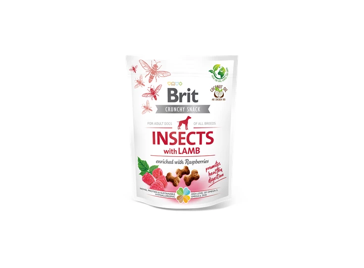 insects-with-lamb.png