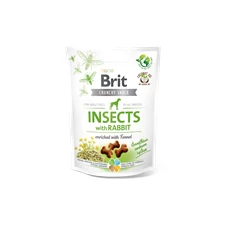 insects-with-rabbit.png
