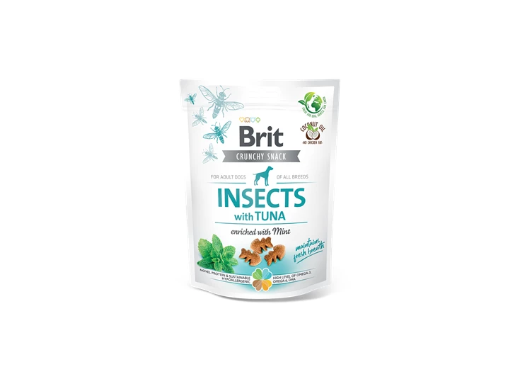 insects-with-tuna.png