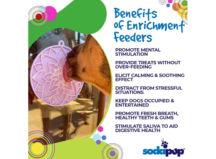 4-Benefits-SodaPup-EnrichmentFeeder-SodaPup-LotusEmat_1024x1024@2x.jpg