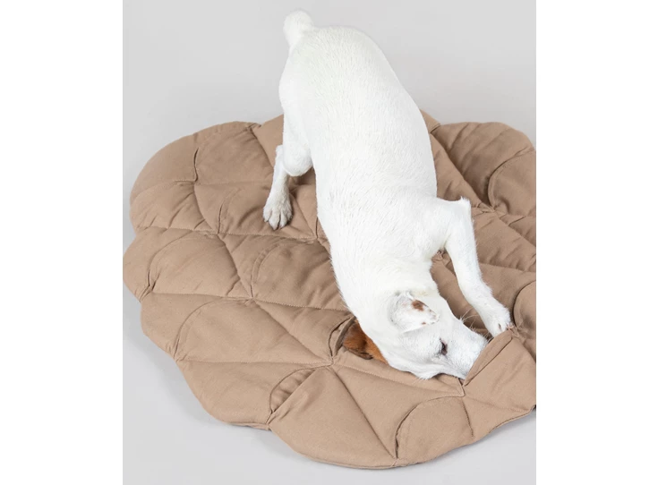 Schermafbeelding 2025-06-17 om 19.30.08.jpeg