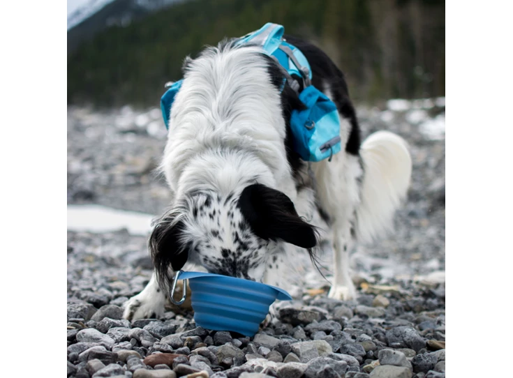 kurgo-kurgo-collaps-a-bowl 2.jpeg