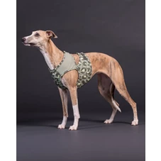 GreenLeoCoolVest.jpeg
