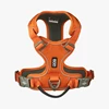 Comfort Walk Pro Harness-Orange Sun_3.jpg