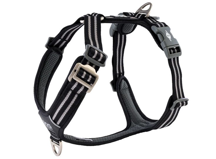 cwa-harness-black-v1.jpg
