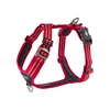 cwa-harness-classicred-v1.jpg