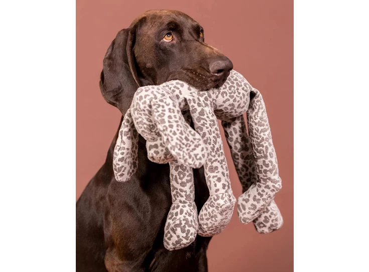 PAIKKA_DogToys_StoneLeoHound_2_e8d91d41-444b-4b85-8de8-bd29dc6f1f14.jpg