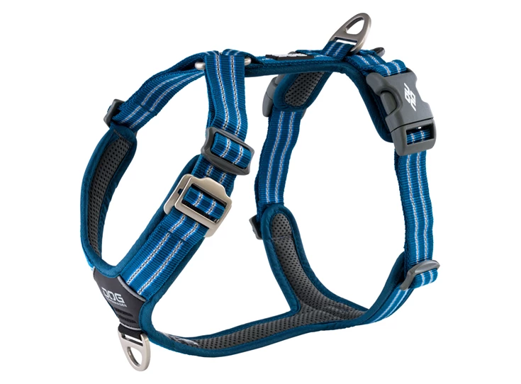 cwa-harness-oceanblue-v1.jpg