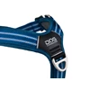 cwa-harness-oceanblue-v3.jpg