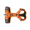 cwa-harness-orangesun-v2.jpg