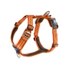 cwa-harness-orangesun-v1.jpg