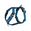 cwa-harness-oceanblue-v1.jpg