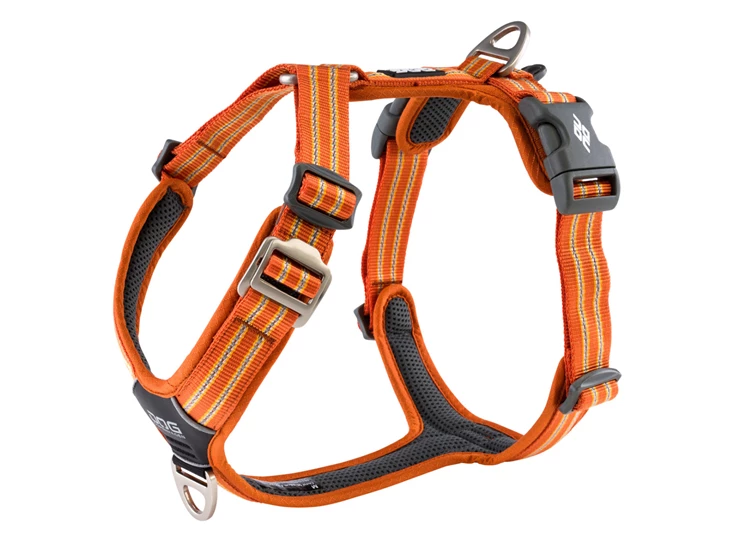 cwa-harness-orangesun-v1.jpg