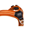 cwa-harness-orangesun-v3.jpg