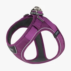 cwg-harness-purplepassion-v1.jpg