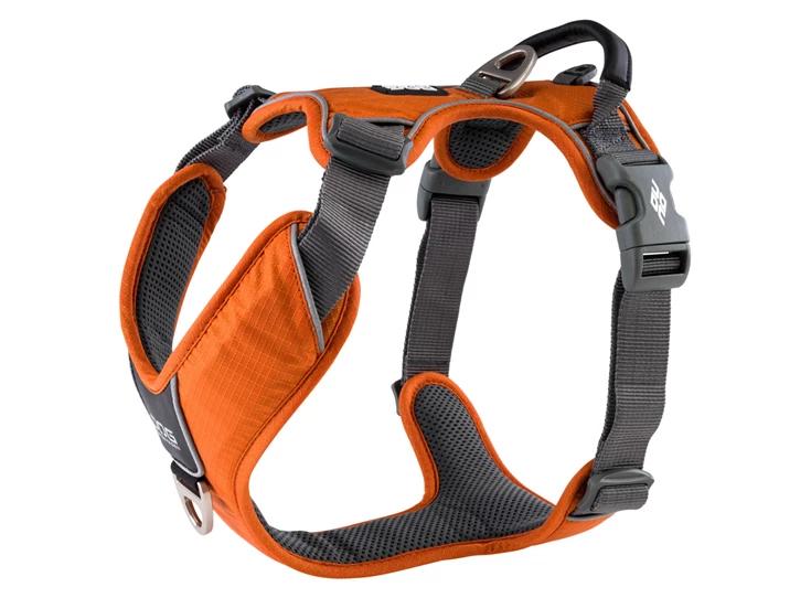 cwp-harness-orangesun-v1.jpg